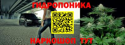 стафф Кулебаки