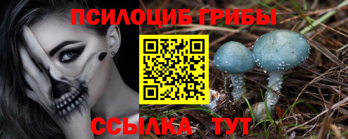 Галлюциногенные грибы Psilocybine cubensis Ханты-Мансийск